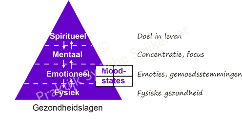 Gezondheidslagen
